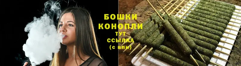 что такое   Пудож  Бошки марихуана SATIVA & INDICA 